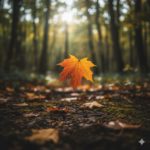 『落ち葉の贈りもの』